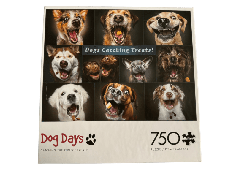 A dog days puzzle with many different dogs