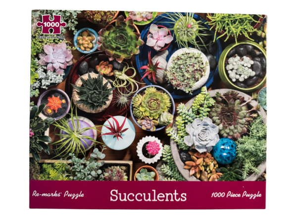 A variety of succulents are arranged in different pots.