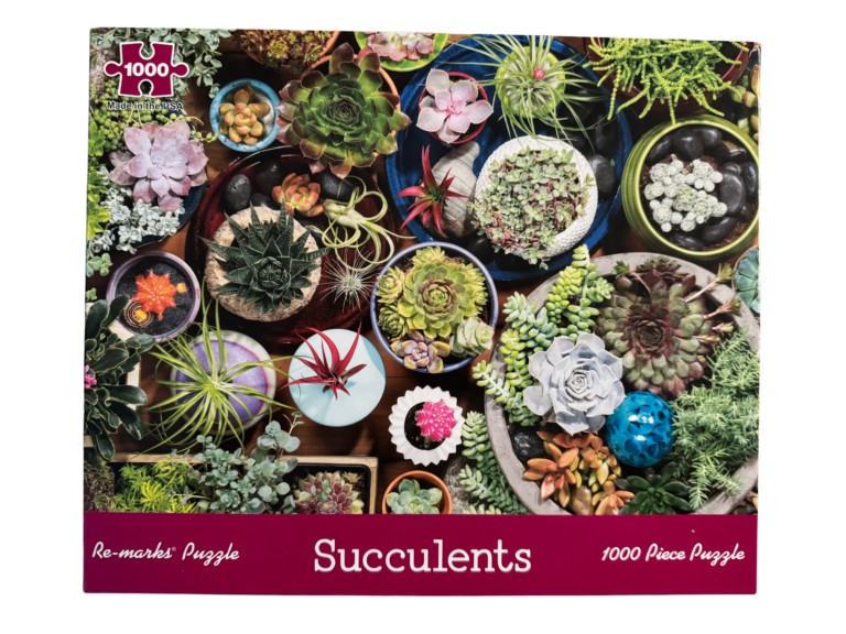 A variety of succulents are arranged in different pots.